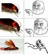 Image result for Tinkerbell Cockroach Meme