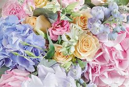 Image result for Pastel Pink Realistic Flowers