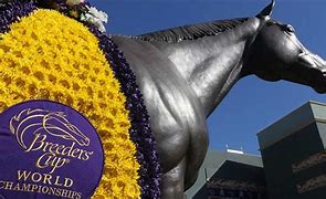 Image result for Breederes Cup