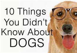 Image result for 10 Things You Didn't Know