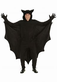 Image result for Bat Costume Adult