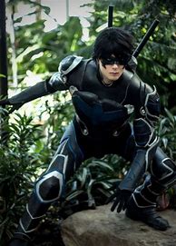 Image result for Black Nightwing Cosplay