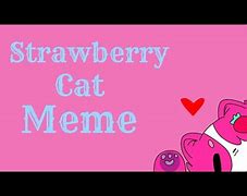 Image result for Strawberry Cat Meme