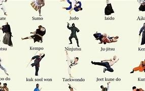 Image result for Top 10 Best Martial Arts
