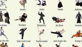 Image result for Martial Arts List