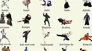 Image result for Every Martial Art in the World