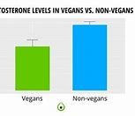 Image result for Vegan vs Meat Testosterone