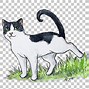 Image result for Cat Calling Cartoon