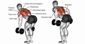 Image result for Arm Workout Plan 30 Days Challenge