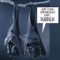Image result for Scary Bat Memes