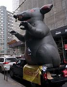Image result for New York Goofy Rats