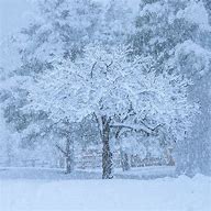 Image result for Snow Storm iPhone Wallpaper