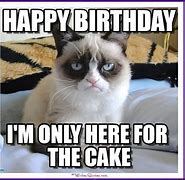 Image result for Happy Birthday Angry Cat Meme