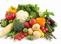 Image result for Vegetarian Nutrition