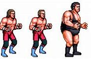 Image result for Temco Wrestling Art