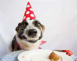 Image result for Dog Birthday Graphic