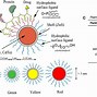 Image result for Type 1 Quantum Dots