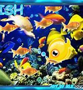 Image result for Tropical Fish Wallpaper iPhone