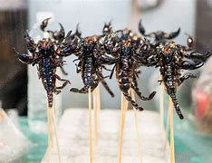 Image result for Thailand Street Food Scorpions