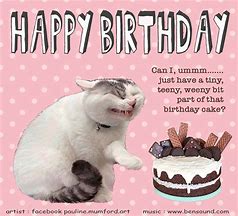 Image result for Happy Birthday Funny Grumpy Cat