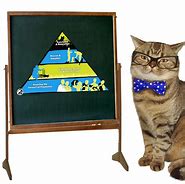 Image result for Cats and Pyramids