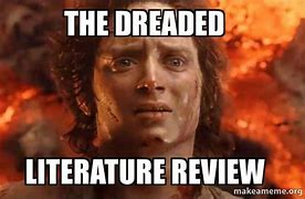 Image result for Literature Review Meme