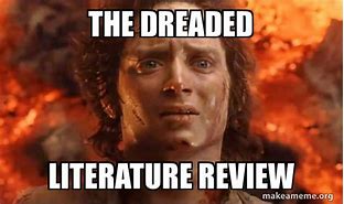Image result for Literature Review Memes