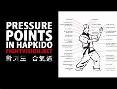 Image result for Hapkido Pressure Points
