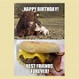 Image result for Cow Birthday Meme