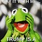 Image result for Kermit Love Meme