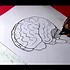 Image result for Brain Cartoon Pic