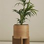 Image result for Indoor Multi Plant Stands