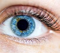 Image result for How Good Can Human Eyesight Be