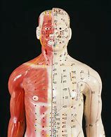 Image result for Acupuncture Points On Body