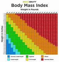 Image result for BMI Graphic