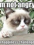 Image result for Grumpy Cat Fun