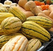 Image result for Pumpkin Type Squash