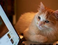 Image result for Laptop Image Theme