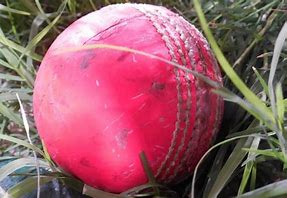 Image result for Cricket Art Preschool