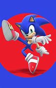 Image result for Sonic Advance Video Game