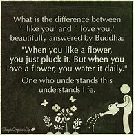 Image result for Difference Between Like and Love