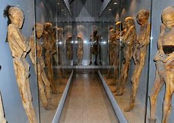 Image result for Mexican Mummies Guanajuato