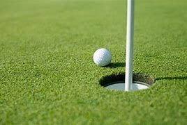 Image result for Golf Ball On Green
