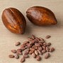 Image result for Organic Raw Cacao