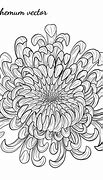Image result for Green Chrysanthemum