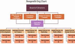 Image result for Non-Profit Organization Organizational Chart