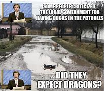 Image result for Duck in Pothole Meme