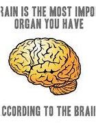 Image result for Meme About the Brain and Lobes