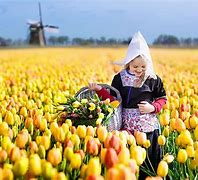 Image result for People From the Netherlands