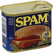 Image result for Carne Spam
